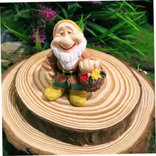 Load image into Gallery viewer, 14PCS Garden Gnome Fairy Garden Gnome Statue Mini Dwarf Elf Resin Sculpture Potted Micro Landscape
