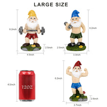 Load image into Gallery viewer, Funny Workout Garden Gnomes Statues, 3pcs 15.5cm Outdoor Funny The Muscular, Barbell and Dumbbell Gnomes Decorations Set for Yard, Lawn, Patio (Workout Gnomes Set)
