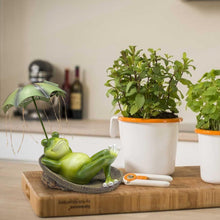 Load image into Gallery viewer, ASDFG Solar Light Frog Garden Statue - Frog Umbrella Garden Sculpture with Lighting, Outdoor Pond Waterproof Fairy Tale Decoration, Gift for Women/Gardening Lovers/Mothers Outside Decor
