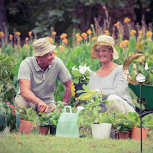 Load image into Gallery viewer, LOVERUIS Solar Garden Lights Outdoor Fairy Moon Lamp Waterproof Moon Garden Solar Light with Crackle Glass Ball LED Stake Lights Angel Decorative for Grave Balcony Lawn Patio Pathway (Fairy)
