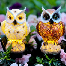 Load image into Gallery viewer, Owl Solar Garden Stake Lights, 2 Pack Owl Outdoor Path Solar Powered Owl Stake Lights for Walkway Yard Lawn Landscape Lighting (White&amp;Brown)
