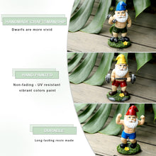 Load image into Gallery viewer, Funny Workout Garden Gnomes Statues, 3pcs 15.5cm Outdoor Funny The Muscular, Barbell and Dumbbell Gnomes Decorations Set for Yard, Lawn, Patio (Workout Gnomes Set)

