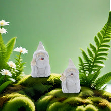 Load image into Gallery viewer, Eojmvxar Funny Garden Gnome Statue,2pcs Middle Finger Figurine Decorations for Lawn Yard Balcony Porch Patio Home Ornaments Outdoor，Garden Statue Outdoor, Smoking Wizard Gnome,
