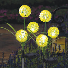 Load image into Gallery viewer, CUQOO Dandelion Solar Trio Stake Lights - Warm White 36 LED with 2 Display Modes, Waterproof Outdoor Garden Lights for Pathway Lighting
