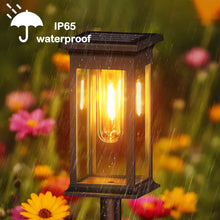 Load image into Gallery viewer, Hqynss Solar Lights Outdoor, 4 Pack Solar Garden Lights Tungsten Glow,IP65 Waterproof, Auto On/Off Lighting for Garden, Patio, Path, Lawn
