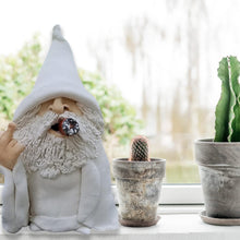 Load image into Gallery viewer, Funny Garden Gnome Statue, Middle Finger Smoking Wizard Gnome, 8.27 Inch Naughty Gnomes Garden Sculpture Decoration for Lawn Yard Balcony Porch Patio Home Outdoor Ornaments Christmas Decorations
