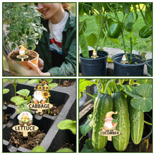 Load image into Gallery viewer, arricraft 15 Pcs Gnome Shaped Wooden Plant Tags, Colorful Shaped Waterproof Garden Stake Plant Marker for Indoor Outdoor Potted Nursery Marker Decoration Accessories
