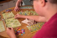 Load image into Gallery viewer, USAopoly | Gnome Hollow | Board Game | Ages 12+ | 2-4 Players | 45 Minutes Playing Time
