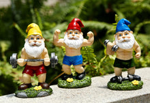Load image into Gallery viewer, Mrsivrop Funny Workout Garden Gnomes Statues 3pcs 6.2 Inches Outdoor Funny The Muscular, Barbell and Dumbbell Gnomes Decorations Set for Yard, Lawn, Patio, Indoor Gnome Figurine for Home Tabletop
