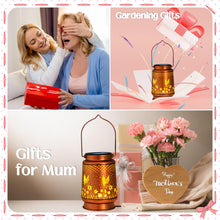 Load image into Gallery viewer, Birthday Gifts for Women, Garden Ornaments Outdoor Hummingbird Solar Lanterns for The Garden Lights Outdoor, Perfect Hummingbird Gifts Presents Mothers Day Gifts for Mum Grandma

