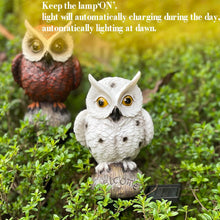 Load image into Gallery viewer, Owl Solar Garden Stake Lights, 2 Pack Owl Outdoor Path Solar Powered Owl Stake Lights for Walkway Yard Lawn Landscape Lighting (White&amp;Brown)
