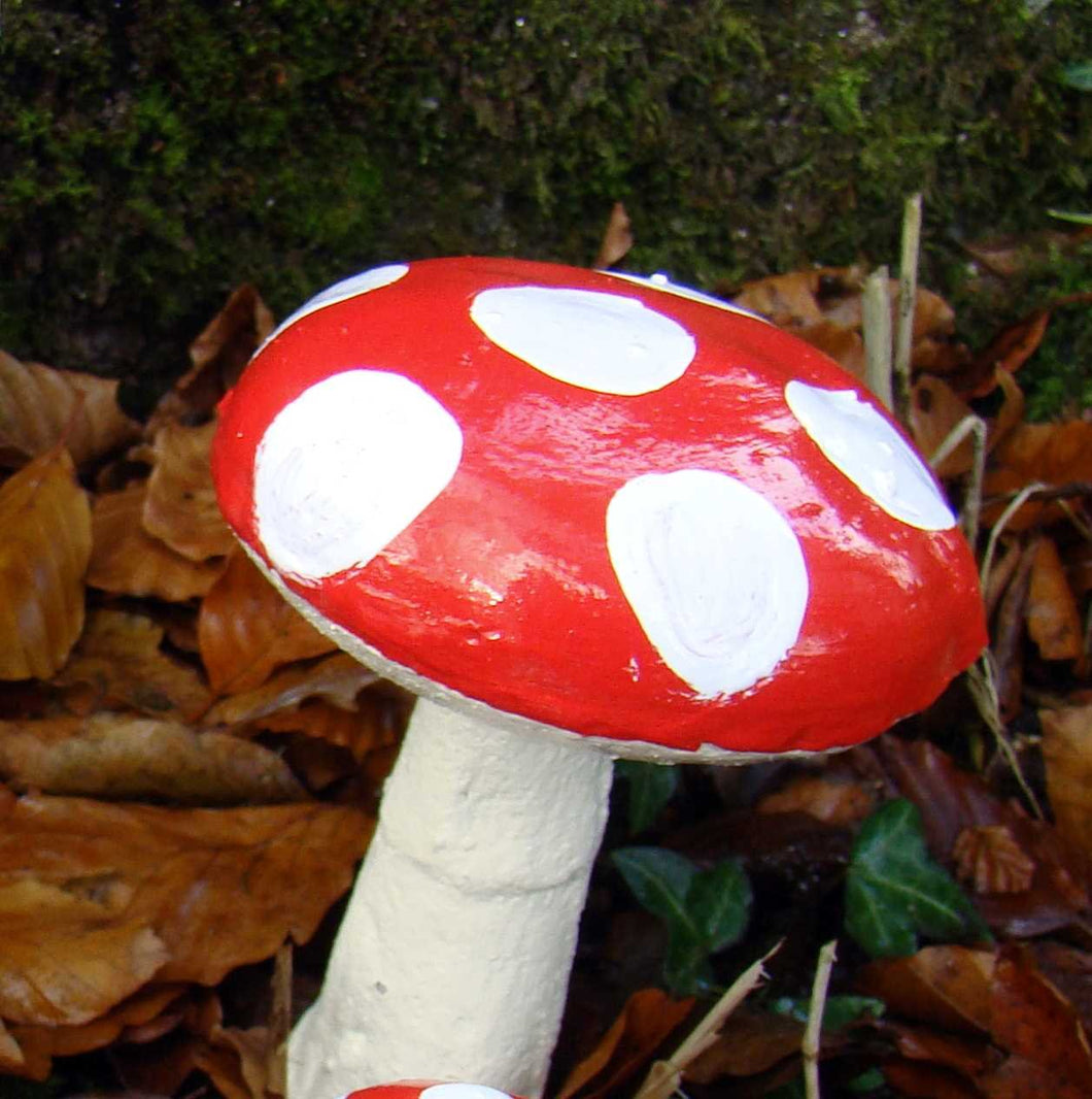 Pixieland GARDEN TOADSTOOL ~ TOADSTOOL MEDIUM