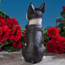 Load image into Gallery viewer, Bits and Pieces - Boston Terrier Solar Lantern Statue - Yard Decorations - Solar Powered Garden Lantern - Resin Dog Sculpture - Outdoor LED Lighting
