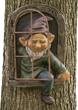 Load image into Gallery viewer, Bits and Pieces - Gnome From The Window Tree Decoration - Garden Decoration - Tree Face - Sculpture
