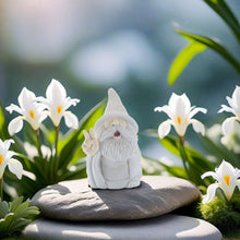 Load image into Gallery viewer, Eojmvxar Funny Garden Gnome Statue,2pcs Middle Finger Figurine Decorations for Lawn Yard Balcony Porch Patio Home Ornaments Outdoor，Garden Statue Outdoor, Smoking Wizard Gnome,
