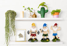 Load image into Gallery viewer, Funny Workout Garden Gnomes Statues, 3pcs 15.5cm Outdoor Funny The Muscular, Barbell and Dumbbell Gnomes Decorations Set for Yard, Lawn, Patio (Workout Gnomes Set)
