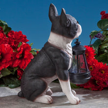 Load image into Gallery viewer, Bits and Pieces - Boston Terrier Solar Lantern Statue - Yard Decorations - Solar Powered Garden Lantern - Resin Dog Sculpture - Outdoor LED Lighting
