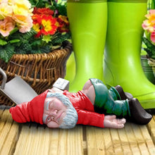 Load image into Gallery viewer, Funny Resin Gnome Statues, Outdoor Naughty Gnomes - Garden Decor, Crafts &amp; Gift
