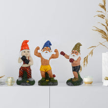 Load image into Gallery viewer, Mrsivrop Naughty Garden Gnomes Outdoor Statues 11inch Boxing Garden Gnomes Outdoor Funny, Garden Sculptures &amp; Statues Gnome Decorations for Yard, Patio, Lawn, Housewarming Garden Gift
