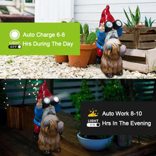 Load image into Gallery viewer, Vovkokc Solar Cow Gnomes Statue Garden Ornaments Outdoor Decorations Gnome Sitting on Highland Cow Solar Lights Binoculars Gnome Gifts for Yard Decor
