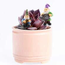 Load image into Gallery viewer, Haomian Set of 5 Miniature Garden Gnomes Mini Gnome Figures Waterproof Resin Ornament Miniature Fairy Garden Ornaments Outdoor Accessories Micro Landscape Decoration

