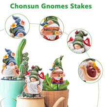 Load image into Gallery viewer, Chonsun Garden Gnomes Stakes 3 Inch Plant Decorations for Pots Outdoor Statues Indoor 3 Pack Large Garden Gnomes Decorations for Home
