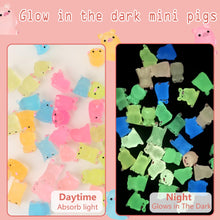 Load image into Gallery viewer, DREMISI 18 Pcs Mini Resin Luminous Pigs Fairy Garden Landscape Aquarium Decoration Potted Plant Decoration Glow in the Dark Miniature Figurines Ornament for DIY Garden Dollhouse Christmas (Light Pink)
