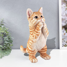 Load image into Gallery viewer, Garden Cat Statue Decorative Outdoor Figurine, Fairy Art Yard Décor Statue for Patio Lawn, Home Office Ornaments Housewarming Gifts (Orange)
