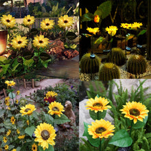 Load image into Gallery viewer, XVZ Solar Lights Outdoor Garden, 2 Pack Solar Sunflower Lights Waterproof Outdoor Garden Patio Decor Lights for Porch Yard Lawn Pathway
