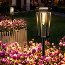 Load image into Gallery viewer, MAGGIFT 2025 Upgraded Solar Lights Outdoor Garden, 4-Pack LED Outdoor Lights Solar Powered IP65 Waterproof, Garden Ornaments for Pathway Yard Lawn Landscape Patio Decoration
