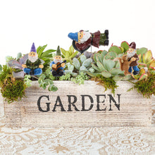 Load image into Gallery viewer, Haomian Set of 5 Miniature Garden Gnomes Mini Gnome Figures Waterproof Resin Ornament Miniature Fairy Garden Ornaments Outdoor Accessories Micro Landscape Decoration
