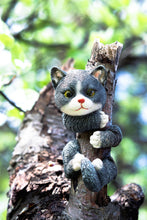 Load image into Gallery viewer, Garden Mile® Cat Animal Tree Peeker Novelty Garden Ornaments Tree Decoration Sculpture Statues Home Decor
