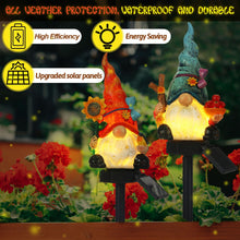 Load image into Gallery viewer, Rossesay - Set of 2 Solar Gnome Lights, Outdoor Pathway Decor, Decorative Stakes for Garden, Home, LED Landscape Lighting for Lawn, Walkway, Yard,
