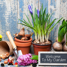 Load image into Gallery viewer, 7 Pieces Gnomes Fairy Resin Statues Mini Garden Statues Decoration Gnome Tale Statue with 2 Hedgehog Statues and 1 Mushroom Decor for Christmas Holiday Festival Decoration, Relatives Friends Kids
