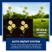 Load image into Gallery viewer, CUQOO Dandelion Solar Trio Stake Lights - Warm White 36 LED with 2 Display Modes, Waterproof Outdoor Garden Lights for Pathway Lighting
