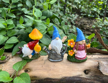 Load image into Gallery viewer, Cliocoo 5pcs Gnome Miniature Set for Fairy Garden, Lovely Resin Dwarf Figurines Kit for Garden Yard Patio Outdoor Home Decoration (Gnome Set-2)
