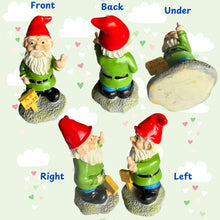 Load image into Gallery viewer, Go Away Gnome with Middle Finger, Gnome Flipping The Middle Finger, Garden Gnomes Decoration, Funny Gnomes Inappropriate, Christmas Lawn Ornaments, Outdoor Statues Decorations (Go Away, S)
