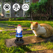 Load image into Gallery viewer, Funny Garden Gnomes, Colorful Garden Ornaments Double Middle Finger Outdoor
