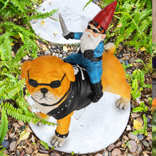 Load image into Gallery viewer, JHWKJS Garden Gnome Statue Holding Sword Outdoor, Funny Garden Gnome Riding Dog Statue Decoration Lawn Figurines for Home Patio Yard Garden Decor Indoor Outdoor, Housewarming Garden Gift
