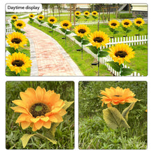 Load image into Gallery viewer, Pesoncarl 4 Packs Sunflower Solar Lights Outdoor Lifelike Solar Sunflowers IP44 Waterproof Solar Garden Lights Auto On/Off Solar Stake Lights for Yard Pathway Garden Sunflower Decor Pathway Lighting
