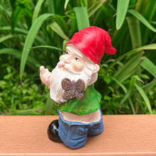 Load image into Gallery viewer, Naughty Middle Finger Gnome, 5.5 inch Tall Funny Resin Garden Gnomes, Mini Pants Down Naked Gnomes for Outdoor Lawn House Decor Statues
