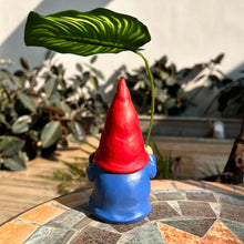 Load image into Gallery viewer, WSHMZYHOME Garden Gnome with Red Hat and Leaf Umbrella, Decorative Outdoor Statue, White Beard
