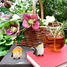 Load image into Gallery viewer, 4Pcs Animal Garden Gnomes Statue Resin Birds Animal Figurine Decoration Lawn Garden Courtyard Ornaments Indoor Outdoor Figurines for Garden and House
