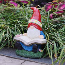 Load image into Gallery viewer, Solar Garden Gnomes Outdoor Statues - Gnome Figurine Reading Book with Butterfly LED Lights Funny Gnomes for Garden Decor Yard Patio Lawn Ornaments Gifts for Women
