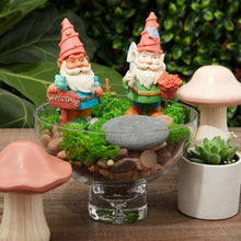 Load image into Gallery viewer, 2-Pack of Garden Gnome Paint Your Own, Polyresin, 13 cm
