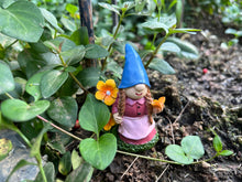 Load image into Gallery viewer, Cliocoo 5pcs Gnome Miniature Set for Fairy Garden, Lovely Resin Dwarf Figurines Kit for Garden Yard Patio Outdoor Home Decoration (Gnome Set-2)
