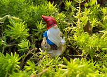 Load image into Gallery viewer, Cliocoo 5pcs Gnome Miniature Set for Fairy Garden, Lovely Resin Dwarf Figurines Kit for Garden Yard Patio Outdoor Home Decoration (Gnome Set-2)
