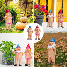 Load image into Gallery viewer, Gnomes,Gnome, Garden Gnomes, Gnomes Gifts for Women, Funny Garden Gnomes, Funny Gifts
