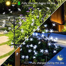 Load image into Gallery viewer, Solar Lights for Outdoor Garden, 2 Pack 16 LED Solar Branches Outdoor, Solar Light Garden Lights with Cherry Blossoms for Patio, Balcony Decoration - White Light
