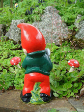 Load image into Gallery viewer, Pixieland GARDEN GNOME ~ ARCHIE ~ DRINKING SCRUMPY
